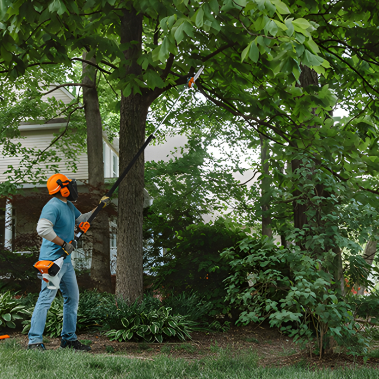 Pole Pruners